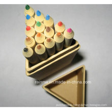 Kraft Paper Color Pencil with Wooden Ruler in Triangle Paper Tube